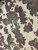 Romanian Armed Forces Dalmatian Camouflage Pattern Poncho