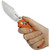 Iguana. Orange G10