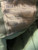 Spanish Armed Forces IR Treated Woodland Field Uniform Set