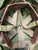 Yugoslav People's Army M59/85 Helmet W/O Helmet Cover