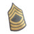 U.S. Armed Forces Master Sergeant Shoulder Chevron