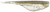 Damiki 3.8" Fat Armor Shad Fishing Lure