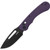 Stalker Crossbar Lock Purple