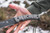 TOPS Longhorn Bowie Sniper Gray RMT
