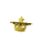 Royal Canadian Air Cadet Lug & Pin Cap Badge