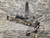 Parker Thunderhawk Crossbow - BONEYARDⓈ