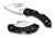 Spyderco C28PBK2 Dragonfly FRN 2 Plain Edge