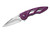 Buck Knives 0290PPS1 Rush Assisted Opening - Purple