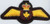 Patch - Canadian Air Force Pilots Wings