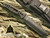 TOPS HDSK01 High Desert Survival Knife w/Ballistic Nylon Sheath