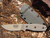 ESEE 3P-DT Desert Tan Blade Plain Edge