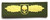 SOF Skull Badge PVC - Gold - Morale Patch