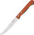 Steak Knife Orange Poplar Wood