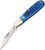 Folder Blue Pick Bone