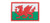 Welsh Flag Hook and Loop PVC Patch