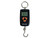 Allen Company 100LB Digital Bow Scale