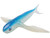 Frenzy Ballistic Flyer Flying Fish Lure (Model: 8" Unrigged-Blue)