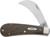 Hawkbill Pruner