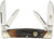 Congress Brown Stag Bone