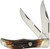 Folding Hunter Brown Stag Bone