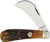 Hawkbill Brown Stag Bone