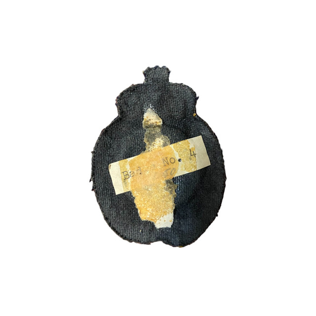 Canadian Armed Forces Corps Of Signals Beret Badge