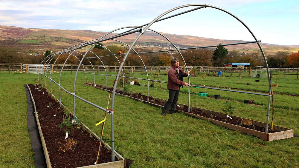 10ft x 32ft Fruit Vegetable Rose Arch Walk in Tunnel Frame Kit