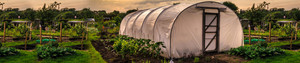 Polytunnels and Parts