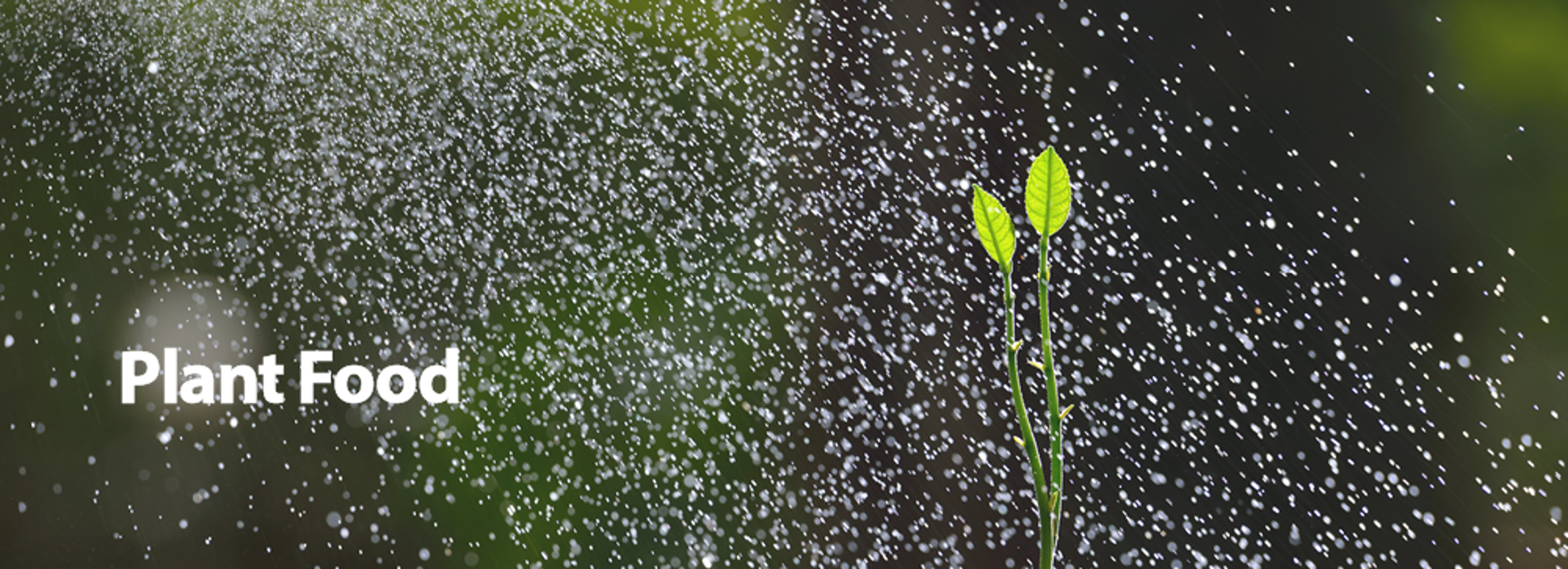 Plant and Tree Food
