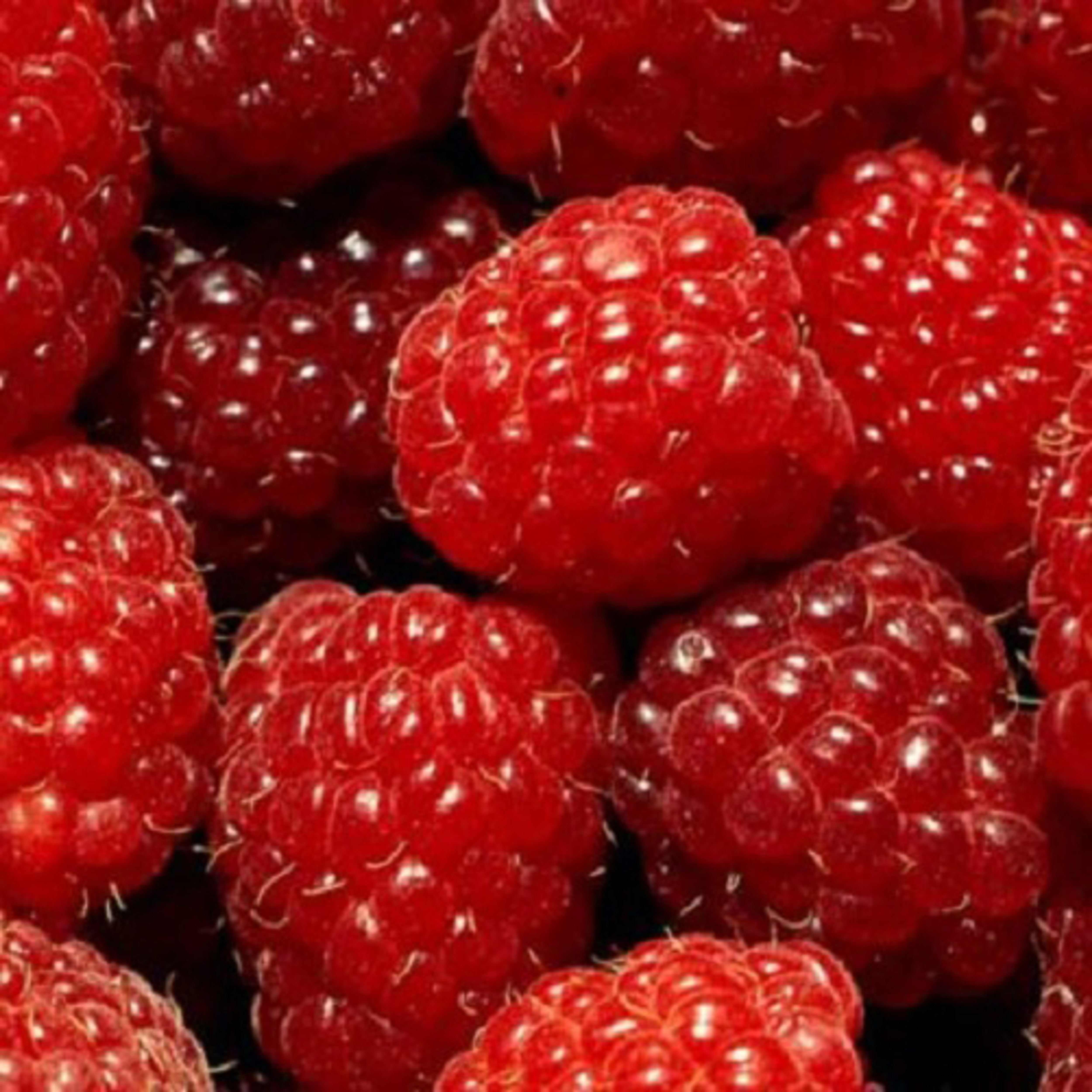 Raspberry