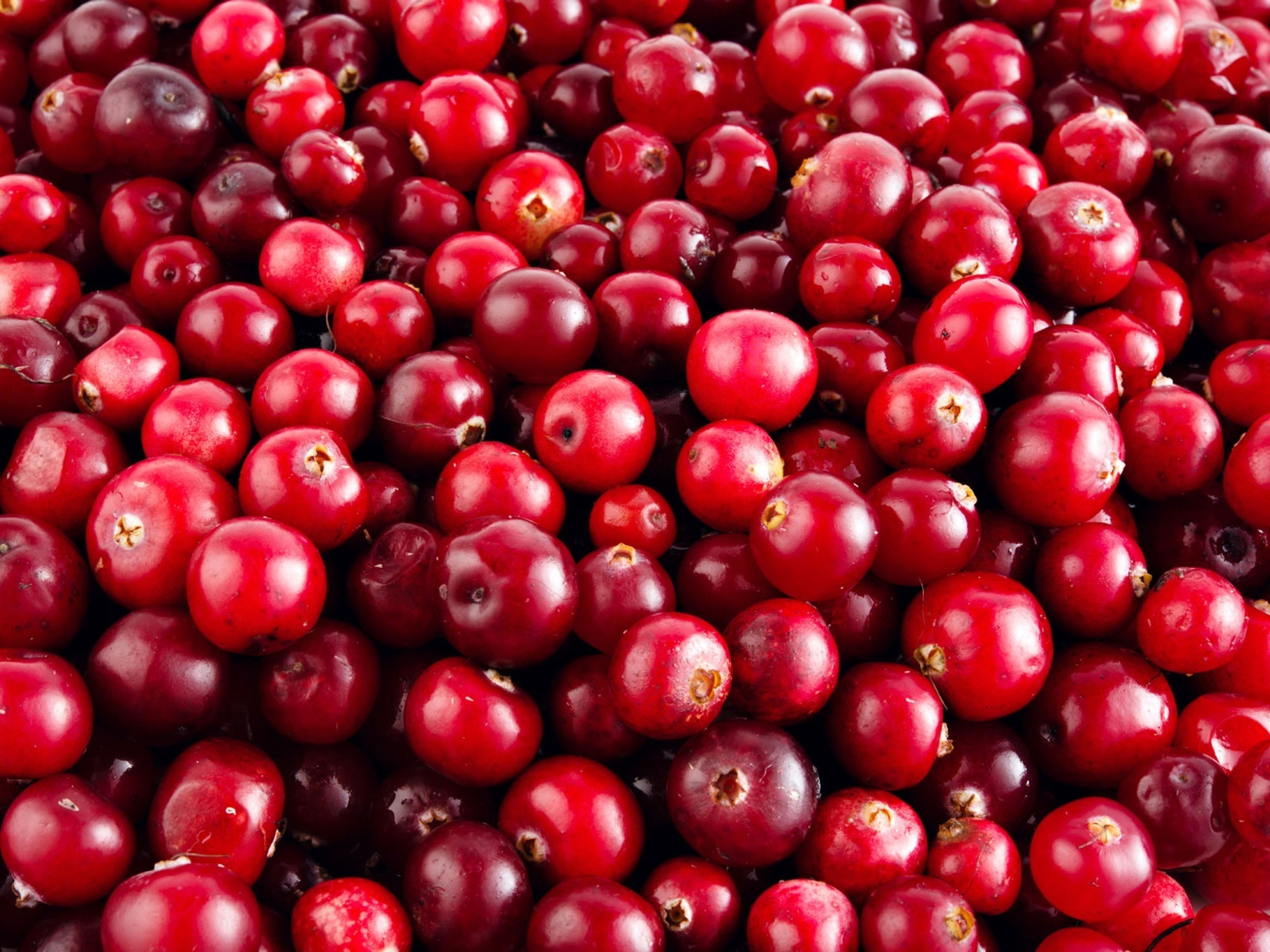 Cranberry