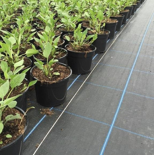 5m Wide Premium Heavy Duty Weed Groundcover 100gsm Permatex Ultra Blue Grid Premium (For 14ft wide polytunnels)