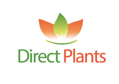 Free Garden Shrub Worth £9.99 When You Spend £50 or More