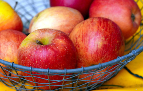 Dwarf James Grieve Apple Fruit Tree | 5-6ft M26 7.5 Litre Pot By Direct Plants