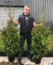 Thuja Plicata Gelderland Western Red Cedar Conifer Tree (Large Specimen) 5ft Tall Supplied in a 10 Litre Pot