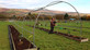 14ft x 32ft Fruit Vegetable Rose Arch Walk in Tunnel Frame Kit