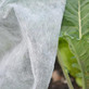 2mx10m Professional Plant Fleece 30gsm for Ultimate Frost Protection