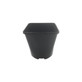 100x 2 Litre Professional Square Black Plastic Plant Pots