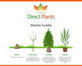 Green Leylandii Cupressocyparis Conifer Tree 6ft Extra Large Instant Specimen Supplied in a 10 Litre Pot