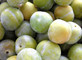 Plums Cambridge Gage Fruit Tree 5ft Tall Supplied in a 7.5 Litre Pot by Directplants