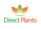 Sorbus Apricot Queen Mountain Ash Tree 5-6ft in a 7.5 Litre Pot By Direct Plants