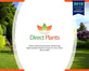 3x Clematis Montana Tetra Rose Fast Outdoor Climber in Pots By Direct Plants