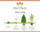3x Evergreen Navaho Thornless Blackberry Fruit Plants in 2/3 Litre Pots By Direct Plants