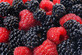 3x Evergreen Thornless Blackberry Fruit Plants in 2/3 Litre Pots By Direct Plants