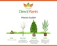 Cotoneaster Hybridus Pendulus Weeping Tree 5-6ft Tall in a 7.5 Litre Pot| By Direct Plants