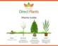 3 Mixed Hardy Yucca Trees in 2/3 Litre Pots By Direct Plants