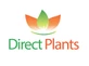 12x Green Leylandii Cupressocyparis Leylandii Hedging Trees 3-4ft Supplied in 3 Litre Pots