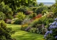 The Mixed Hardy Garden Shrub Collection | Pack of 6 Large Established Plants in 2/3L Pots | Great Value Garden Border Collection By Direct Plants