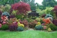 The Mixed Hardy Garden Shrub Collection | Pack of 6 Large Established Plants in 2/3L Pots | Great Value Garden Border Collection By Direct Plants