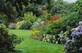 The Mixed Hardy Garden Shrub Collection | Pack of 6 Large Established Plants in 2/3L Pots | Great Value Garden Border Collection By Direct Plants